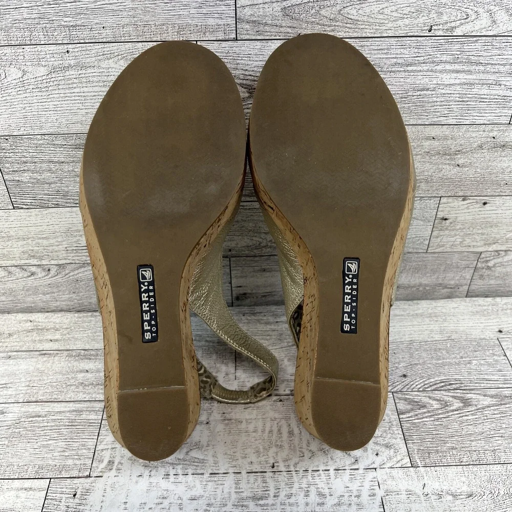 Sperry elevate your